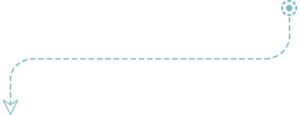 Infrastructural Penetration testing, Network Penetration testing, Web Application Penetration testing